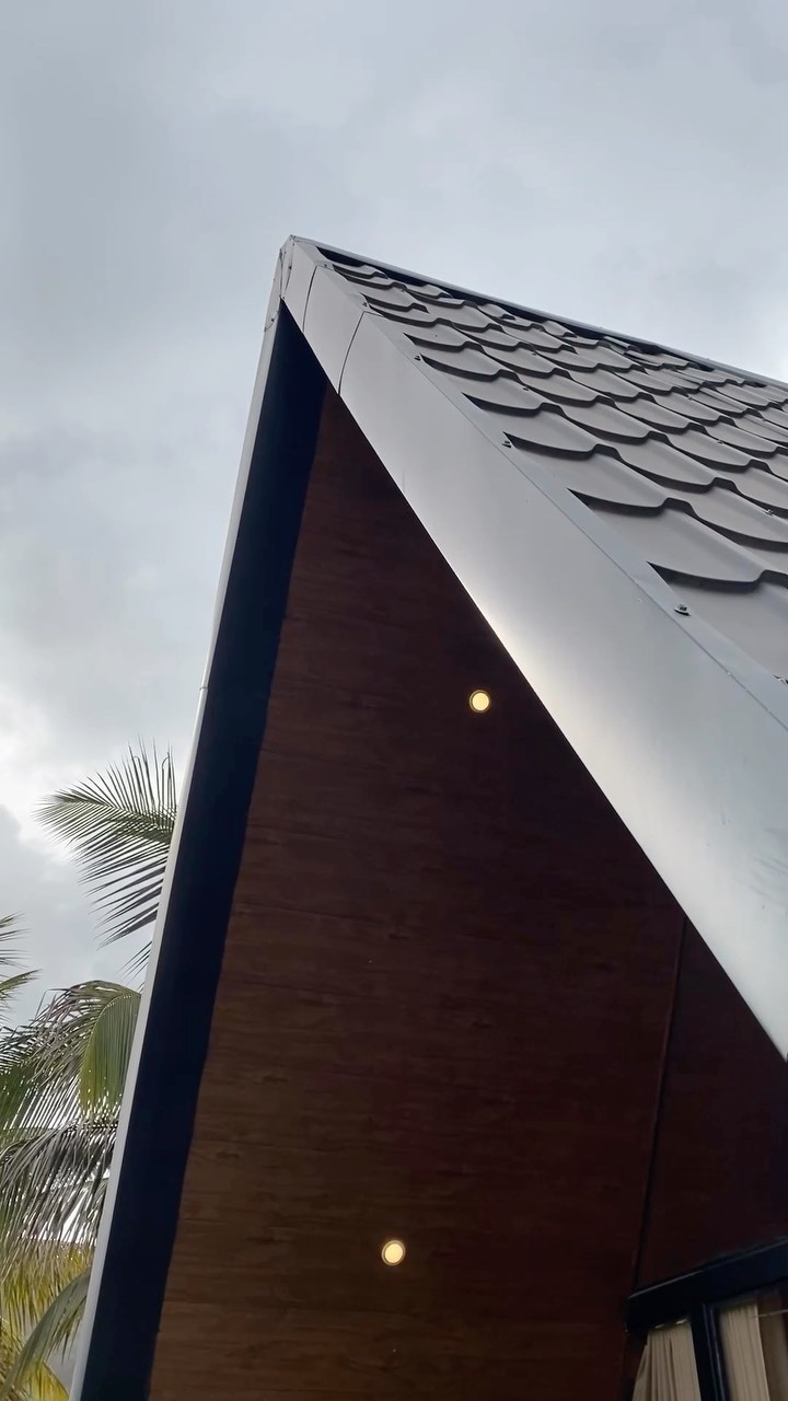 A-frame cabin at Mo Ville: black tile roof, wood facade, palm tree against the sky